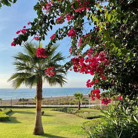 Sunshine Beach Front Complex, Wifi, Modern Casares Extérieur photo