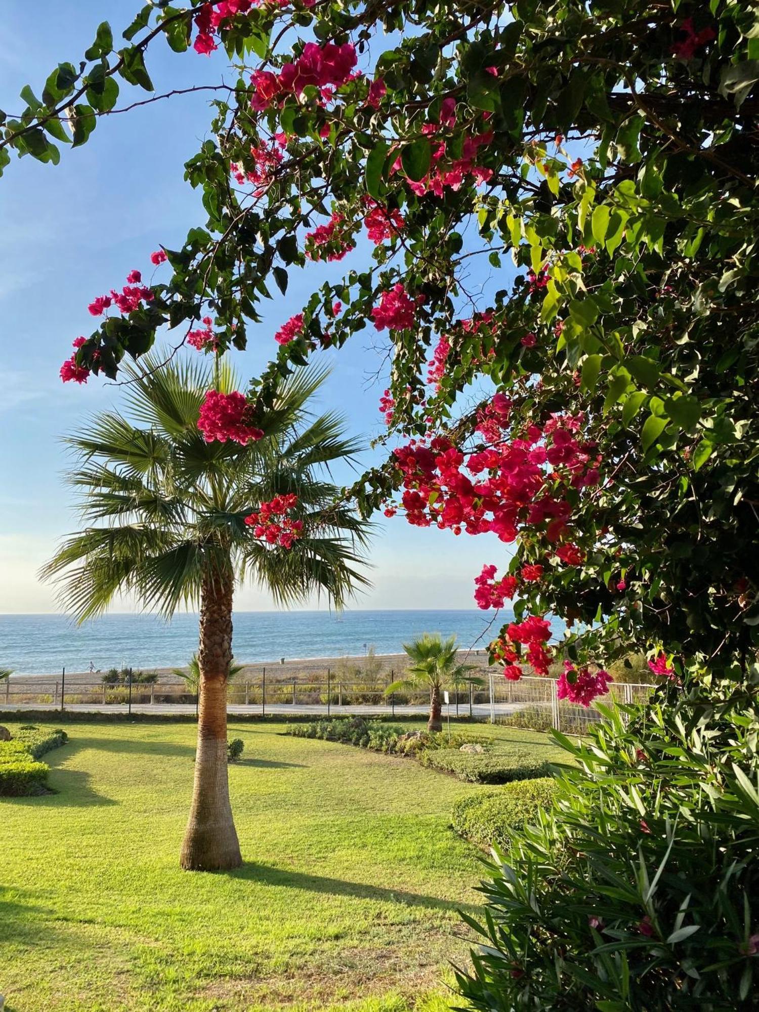 Sunshine Beach Front Complex, Wifi, Modern Casares Extérieur photo
